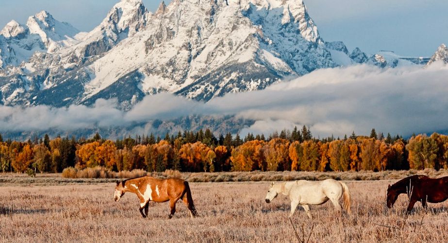 Wyoming Office of Tourism 18 Wyoming Office of Tourism 18